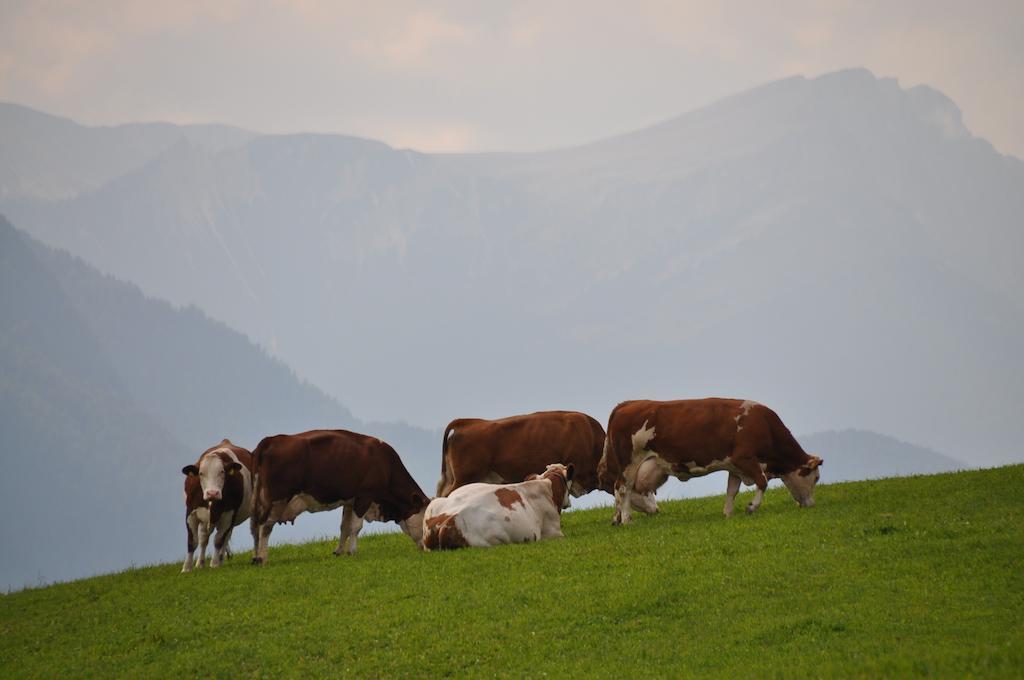 Galler Am Berg San Candido Kültér fotó