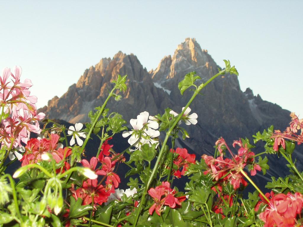 Galler Am Berg San Candido Szoba fotó